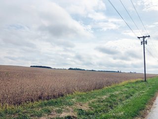 Property photo 3 - FARMLAND AUCTION - 76.15+/- ACRES IN 2 TRACTS IN RANDOLPH COUNTY, INDIANA